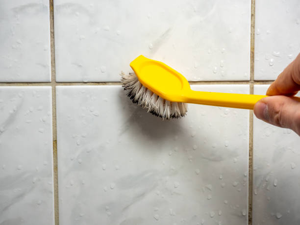 Best Certified Mold Removal  in Winona, MN
