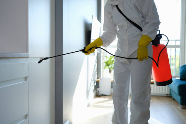 Best Residential Mold Removal  in Winona, MN