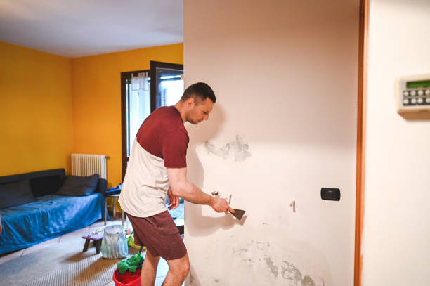 Best Attic Mold Removal  in Winona, MN